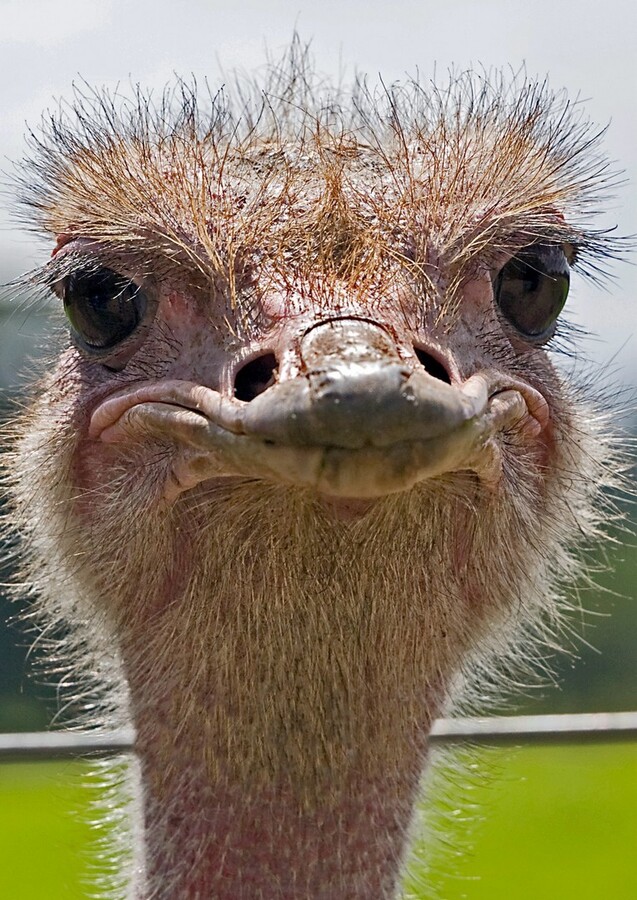 Who you looking at